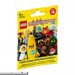 LEGO Series 16 Minifigures Blind Bag Styles Vary Sold Individually 71013  B01J0ACWYM